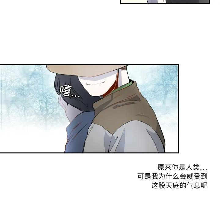 第204页