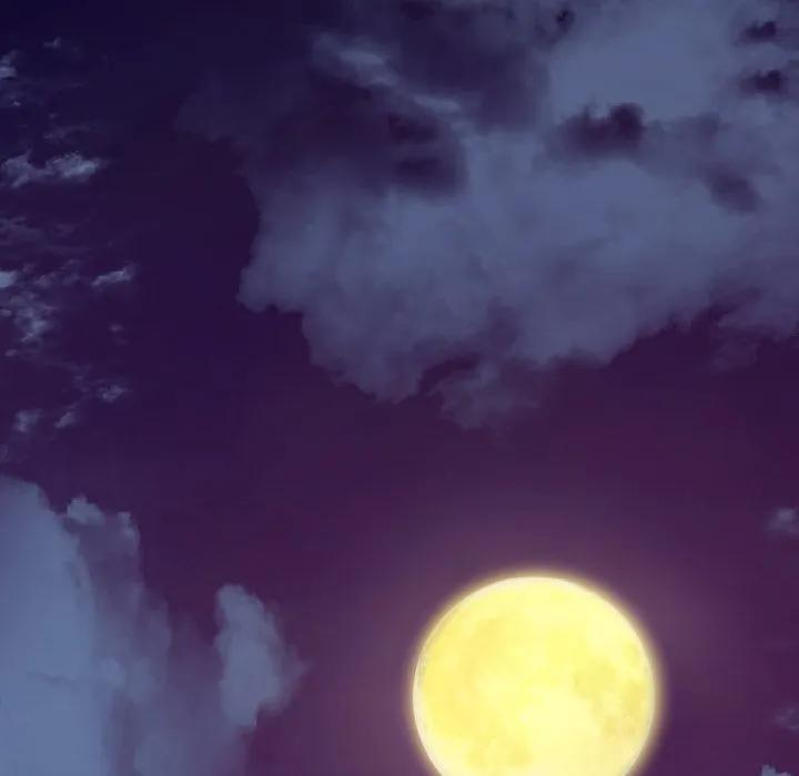 第282页