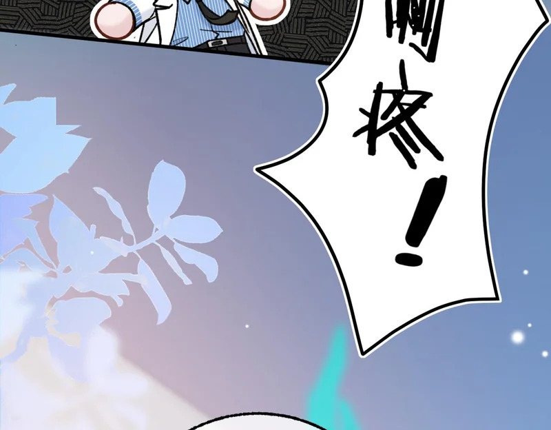 第255页