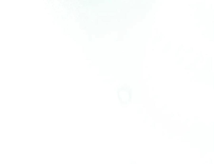 第234页