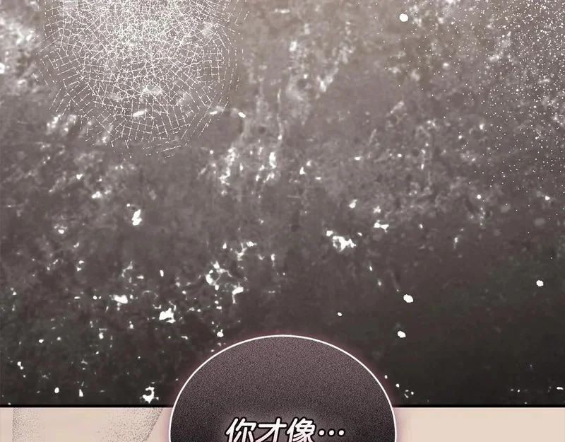 第567页
