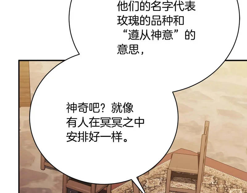 第516页