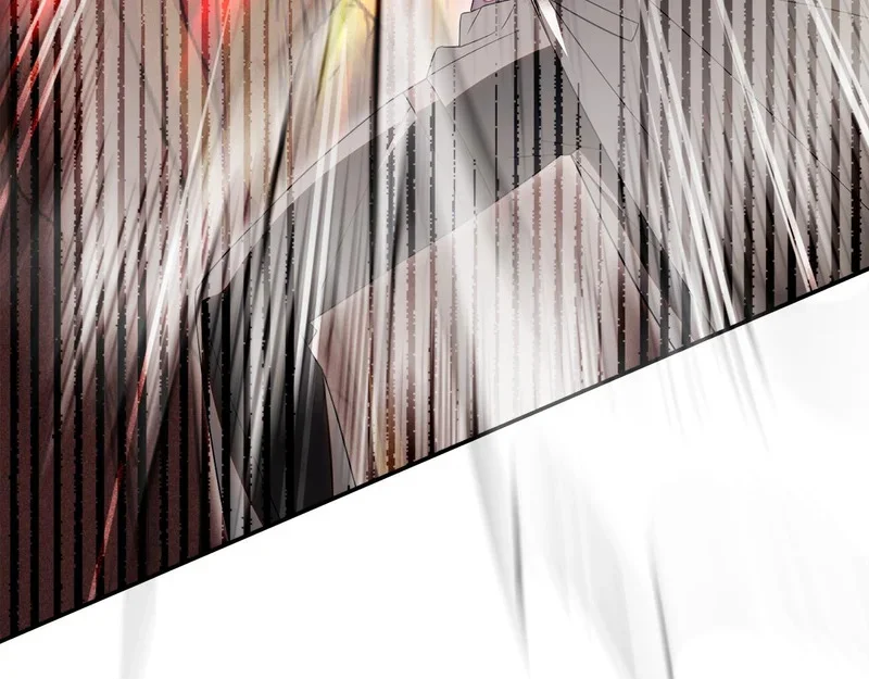 第243页