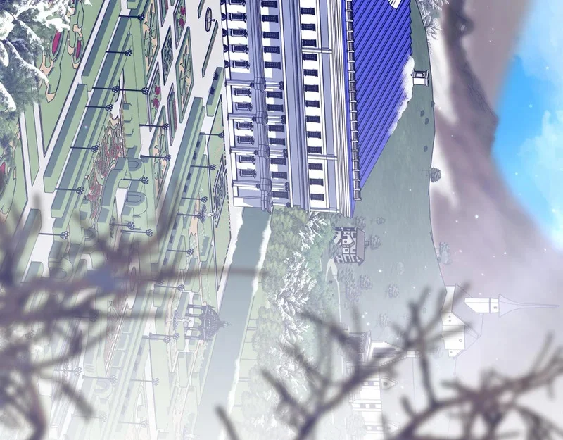 第204页