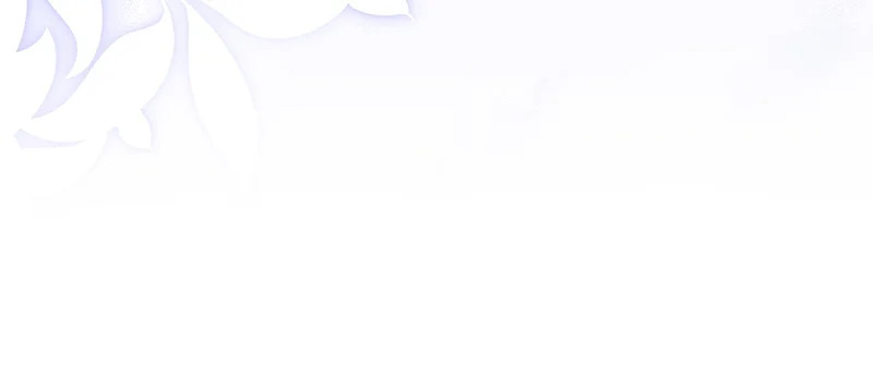 第537页