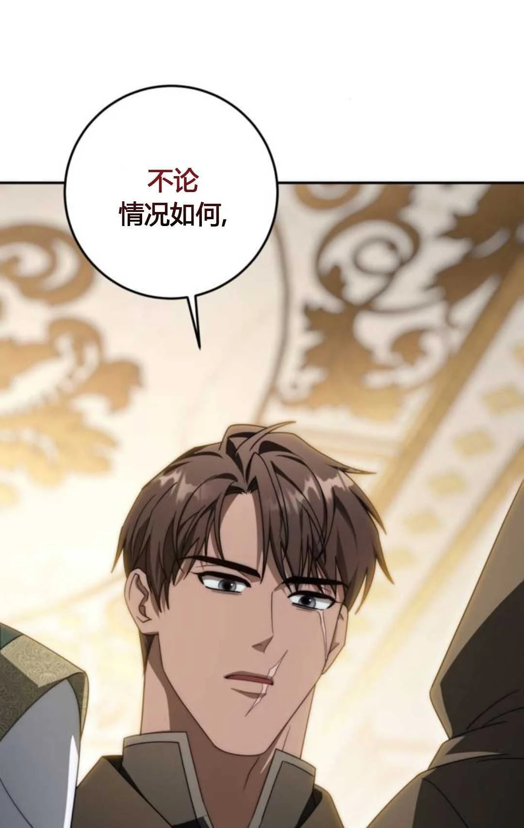 第222页