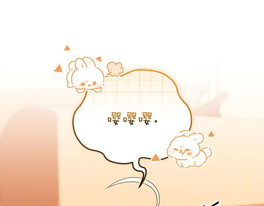 第537页