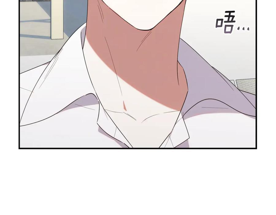 第282页