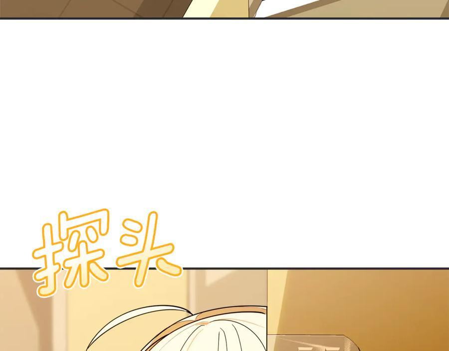 第255页