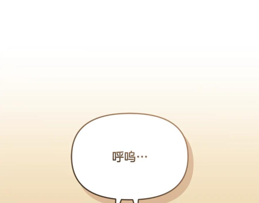 第411页