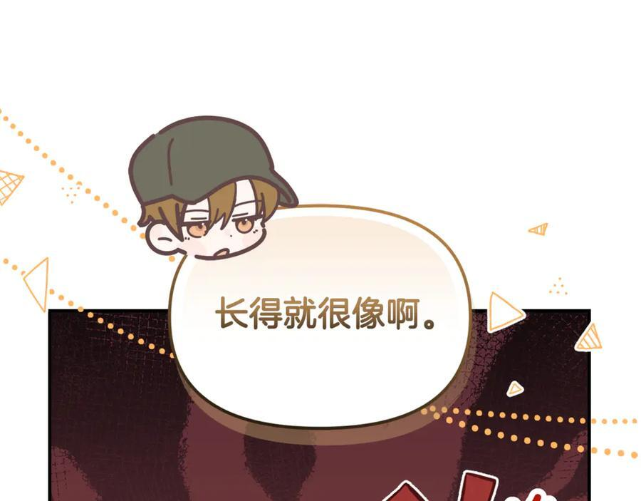第447页