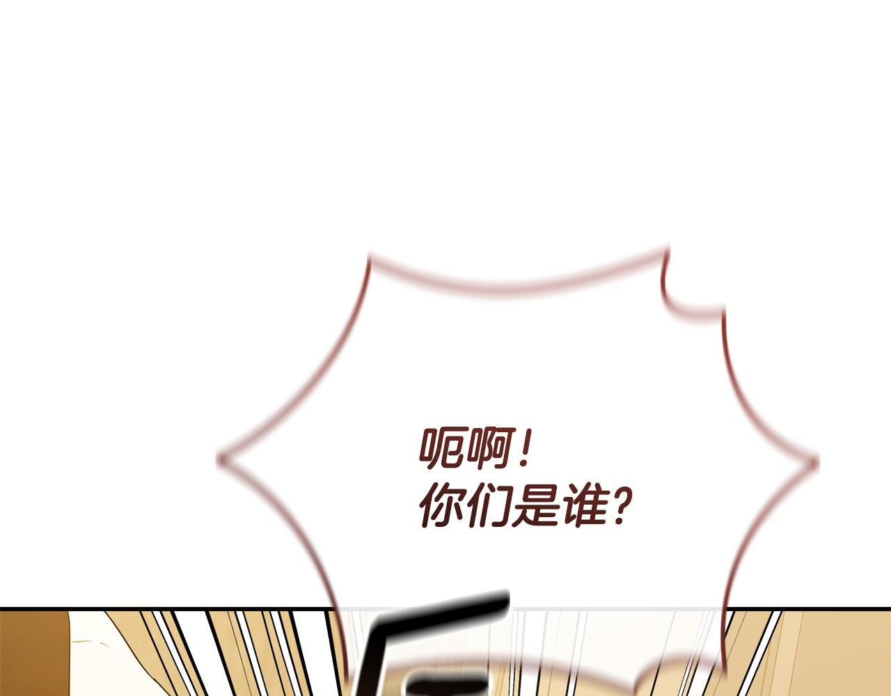 第543页