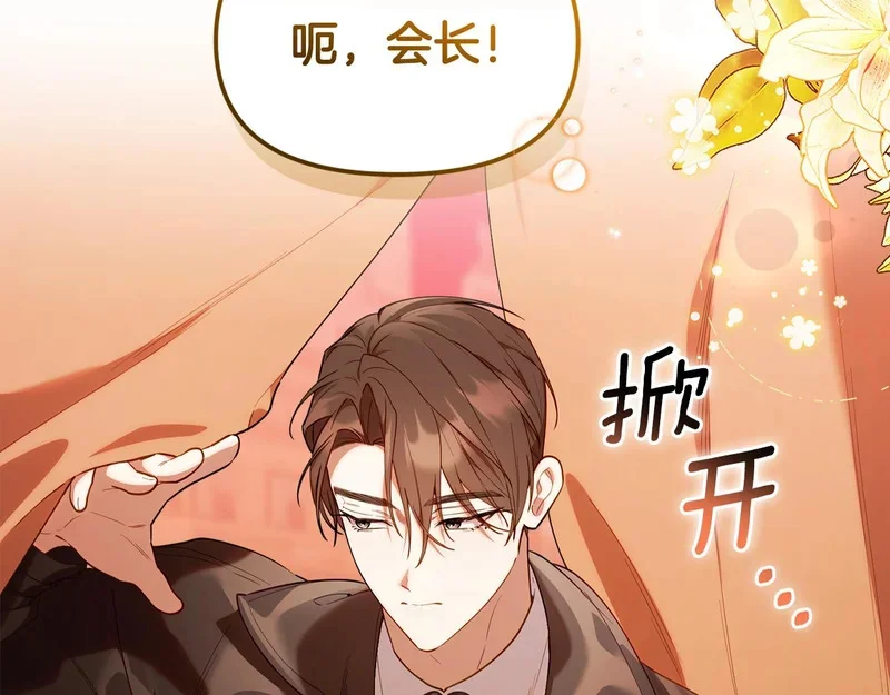 第411页