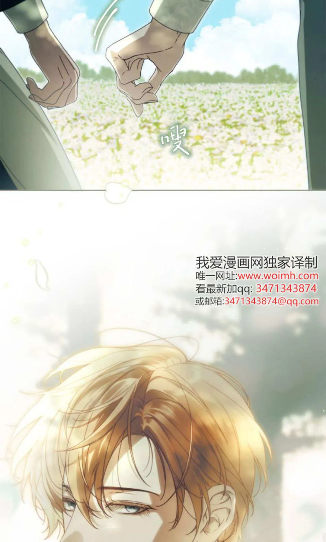 第246页