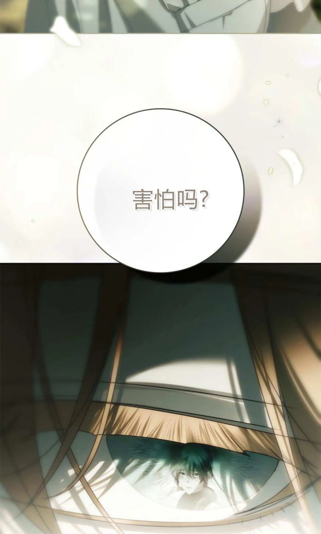 第255页