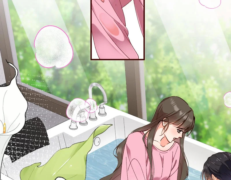 第243页
