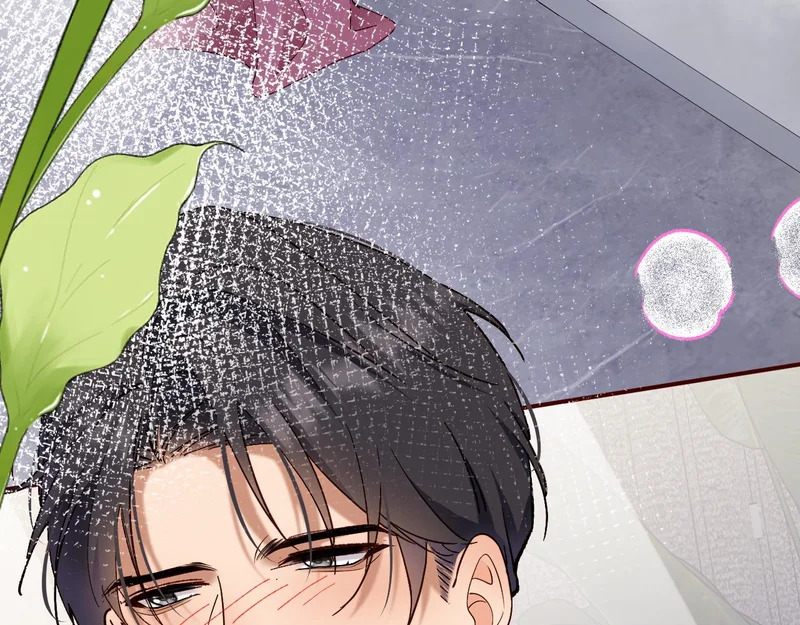 第249页
