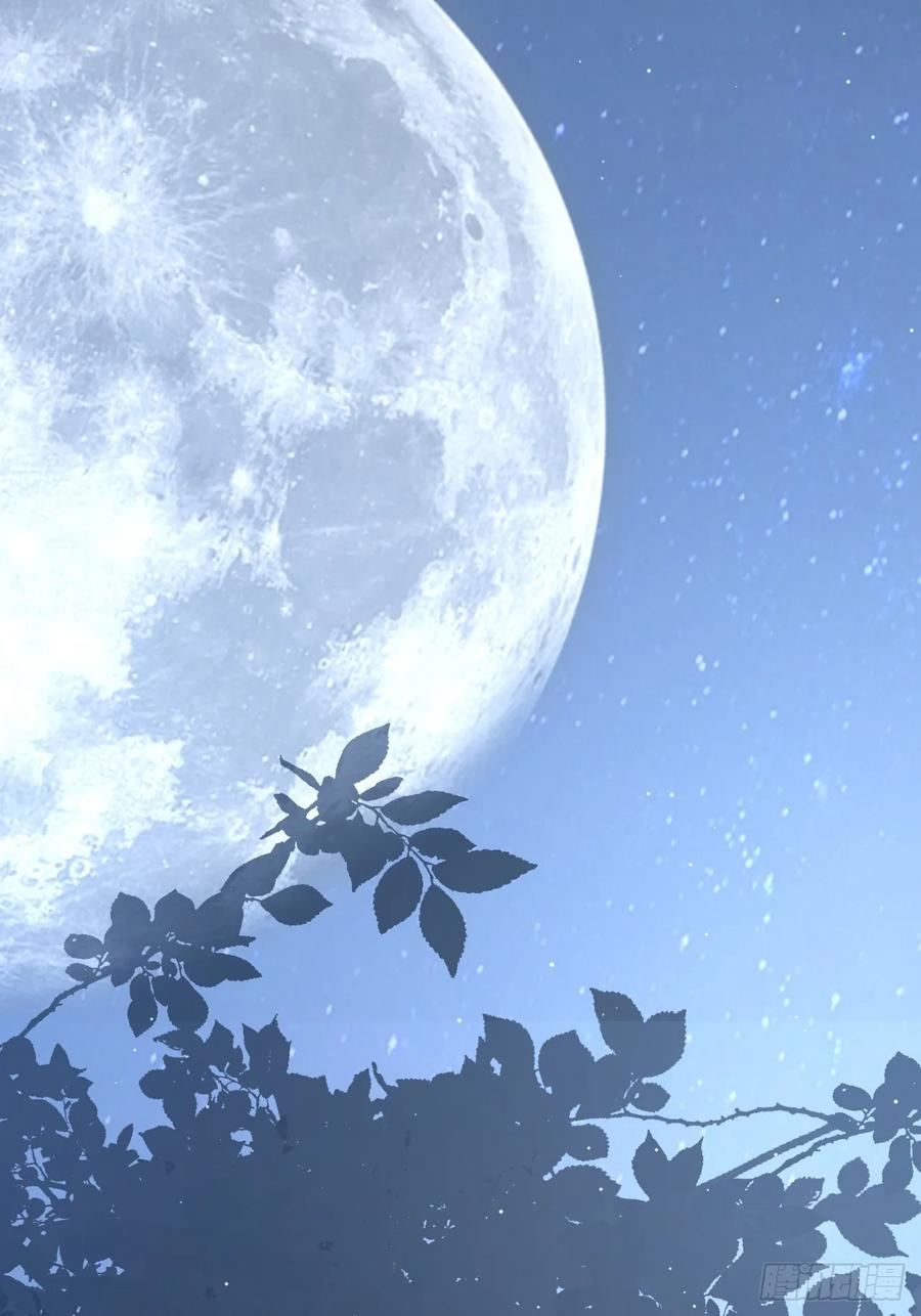第267页