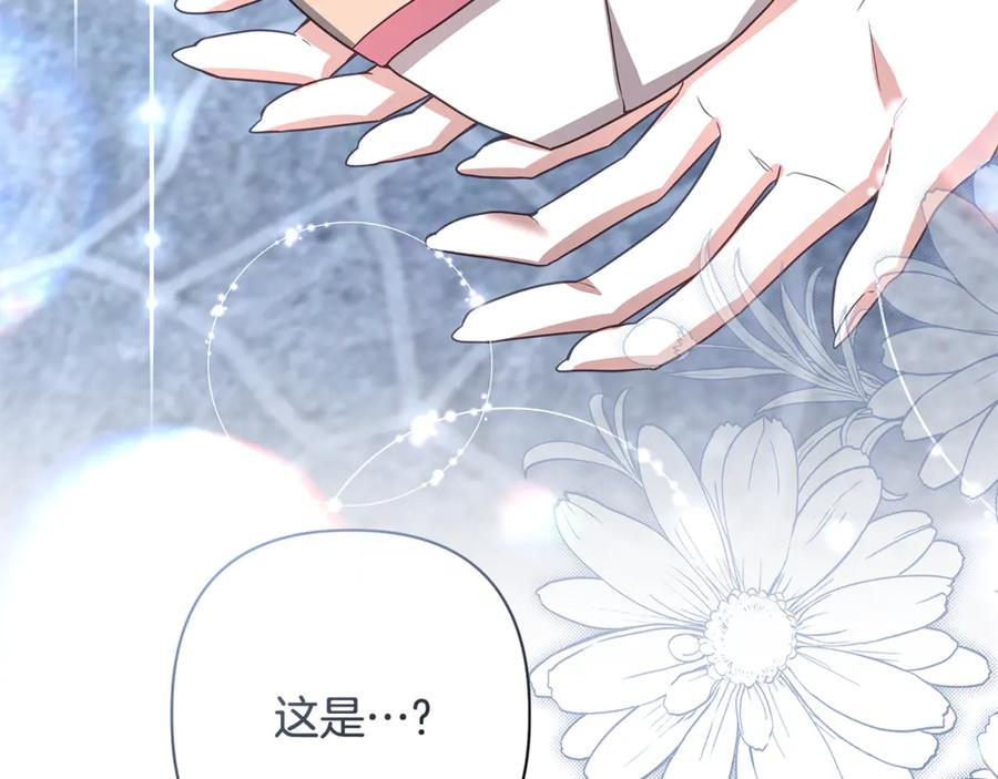 第246页