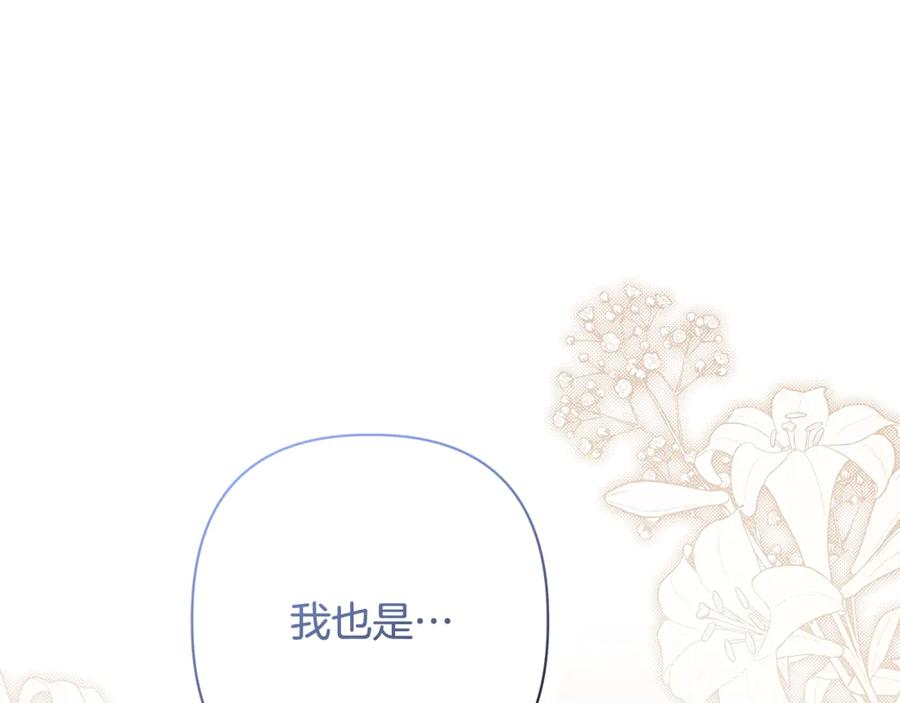 第537页