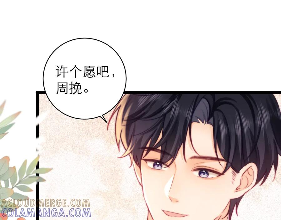 第204页