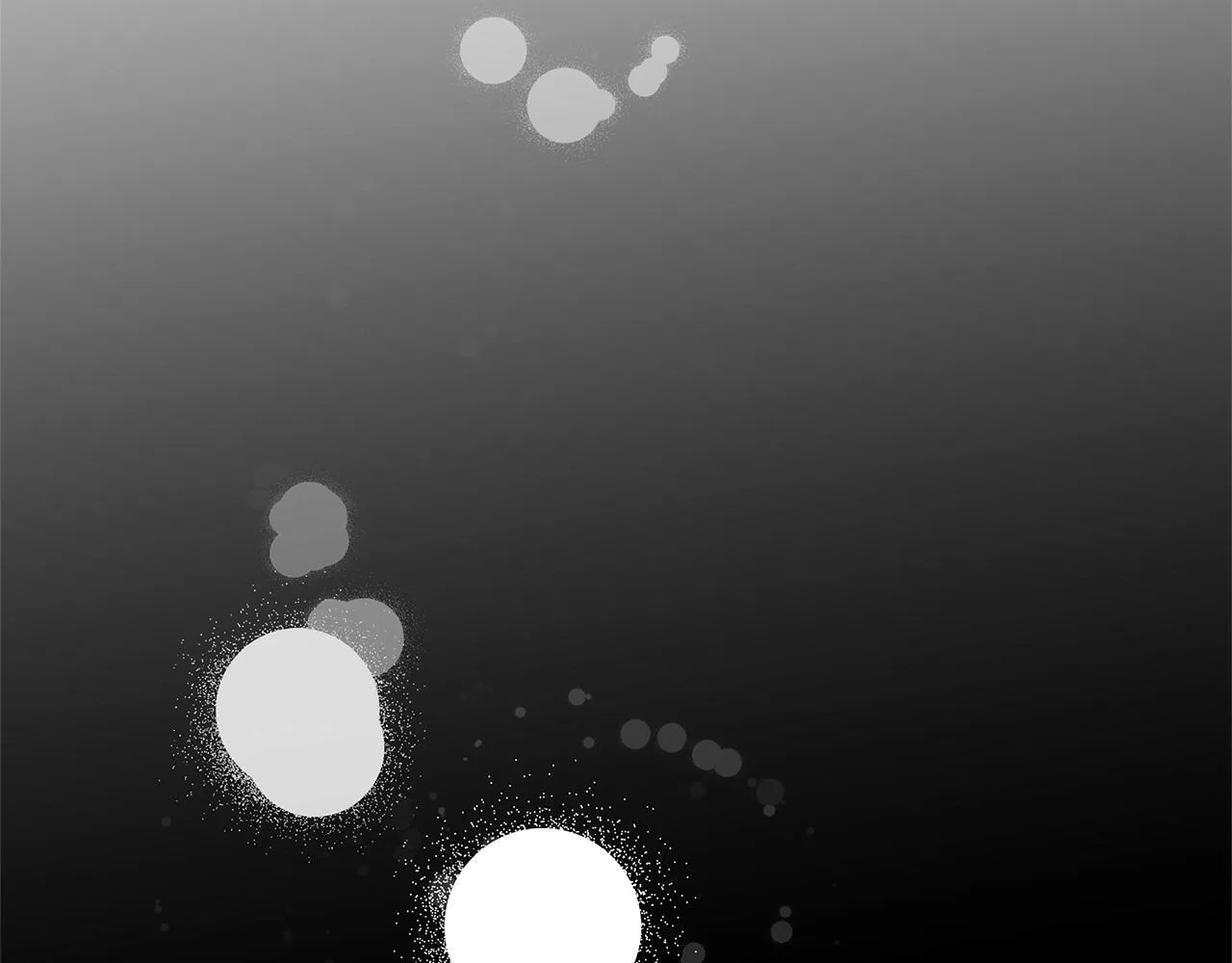 第558页