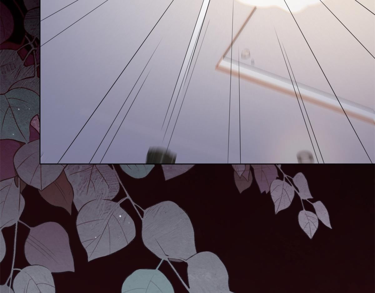 第282页