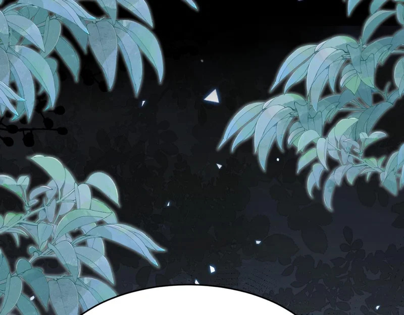 第516页