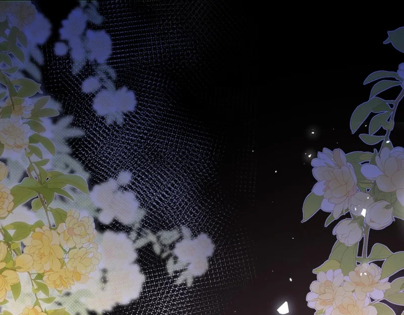 第279页