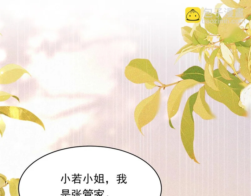 第333页