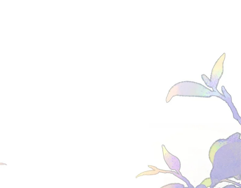第255页