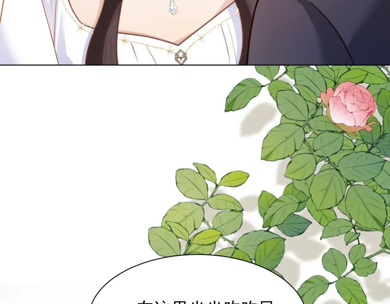 第246页