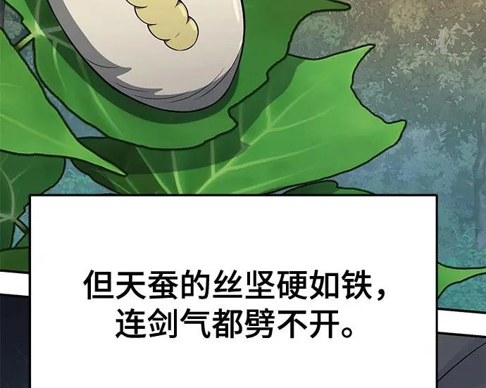 第291页