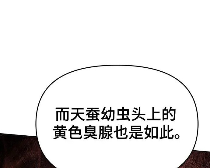 第303页