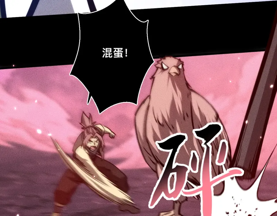 第216页