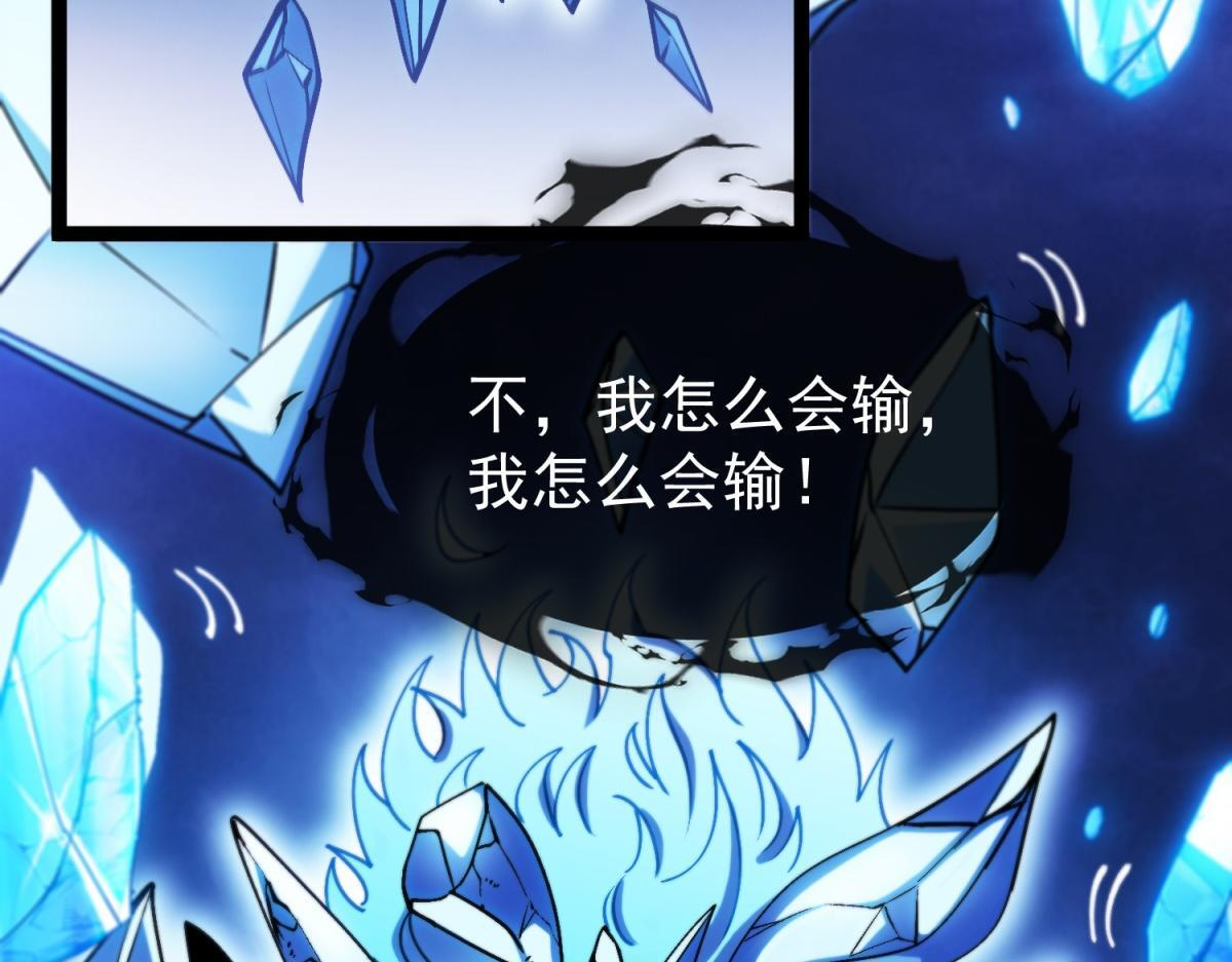 第204页