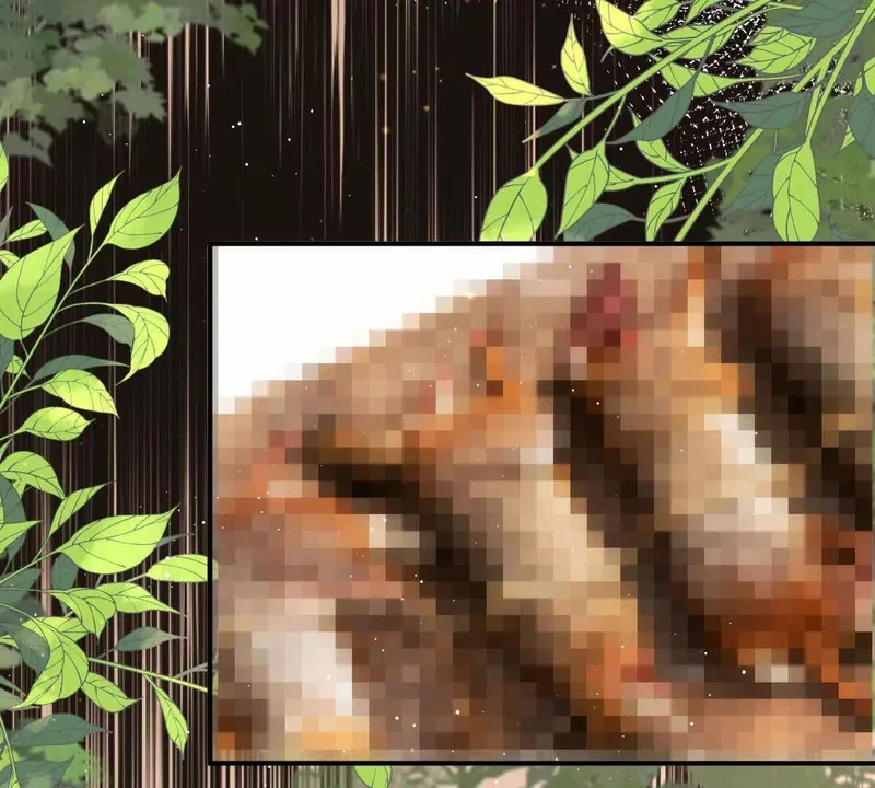 第213页