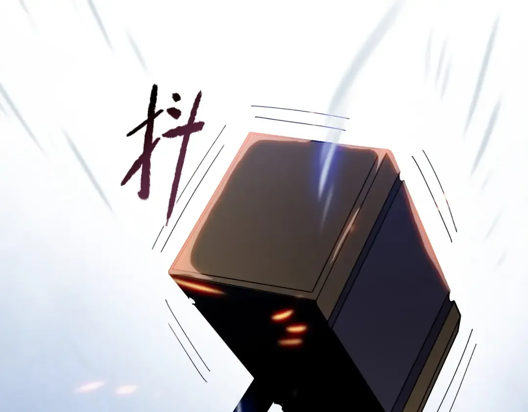 第216页