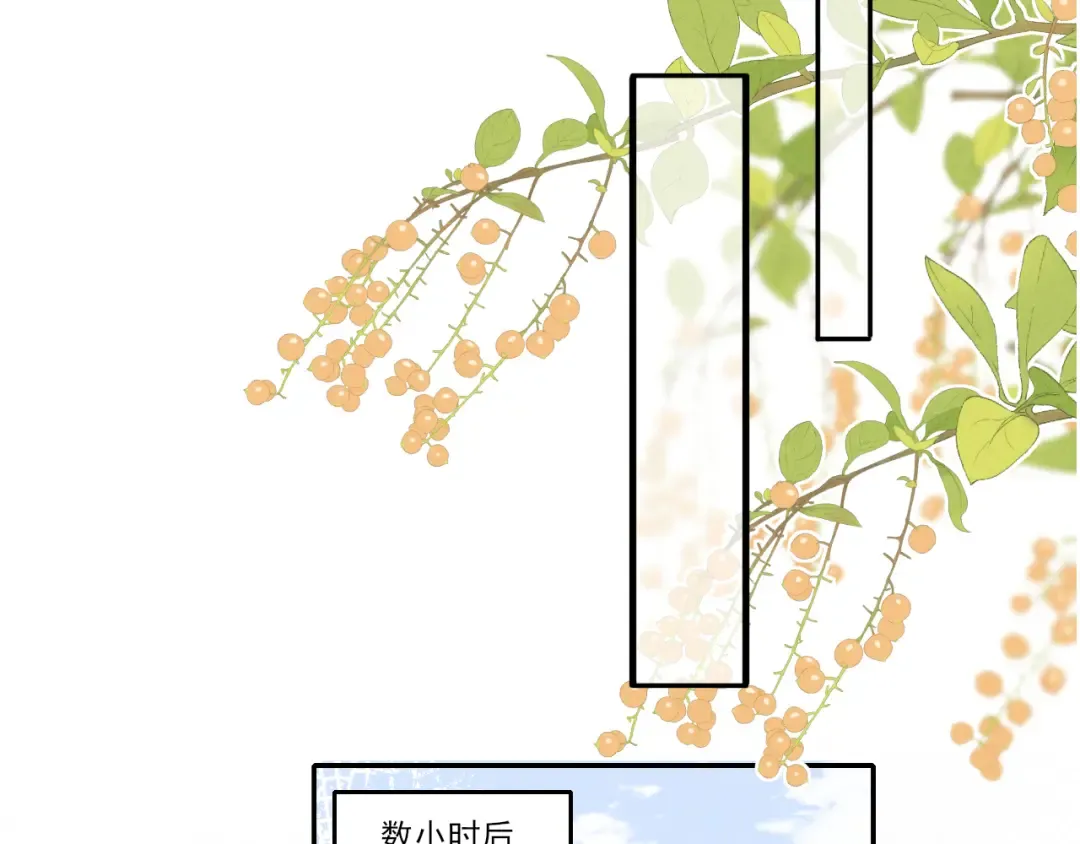 第252页
