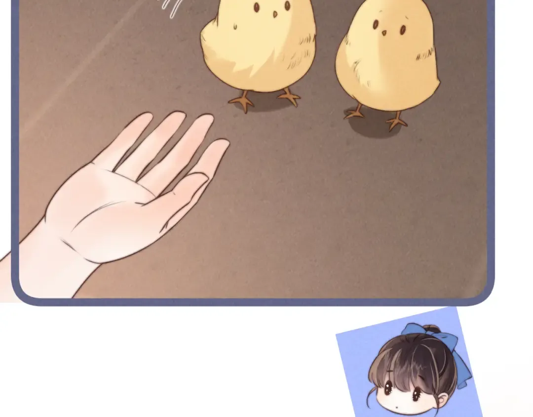 第267页