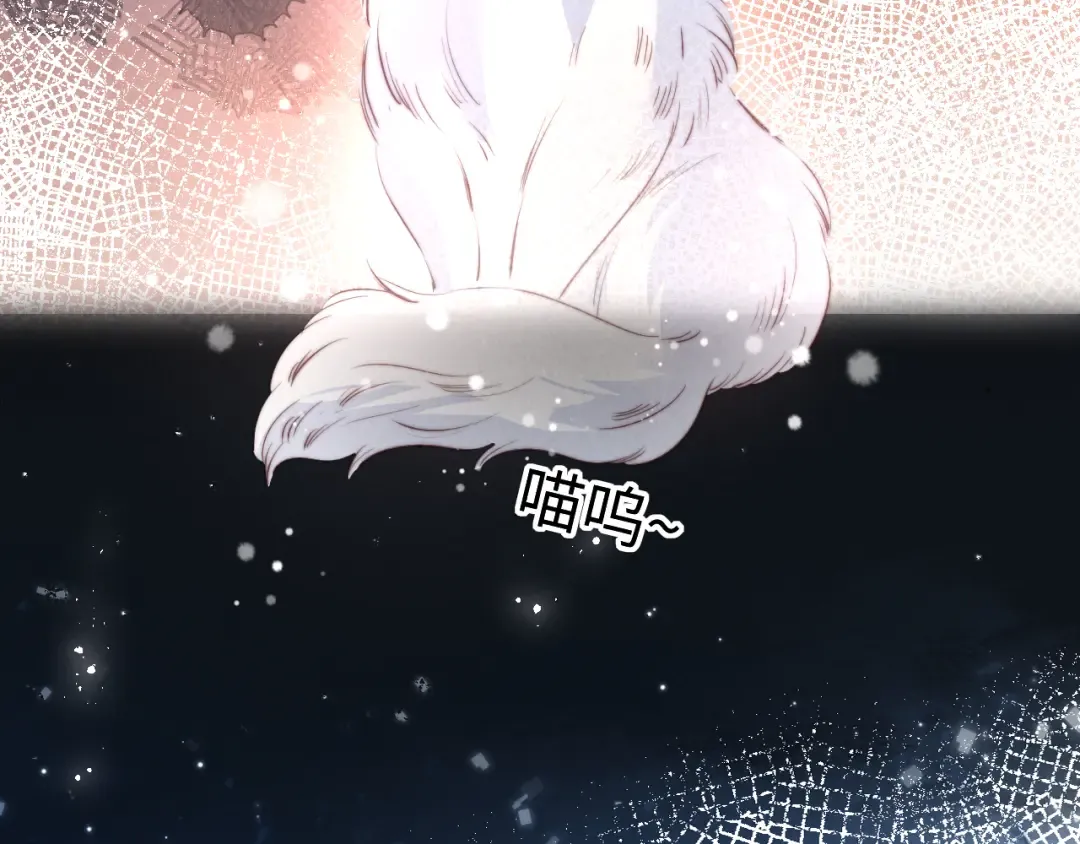 第240页