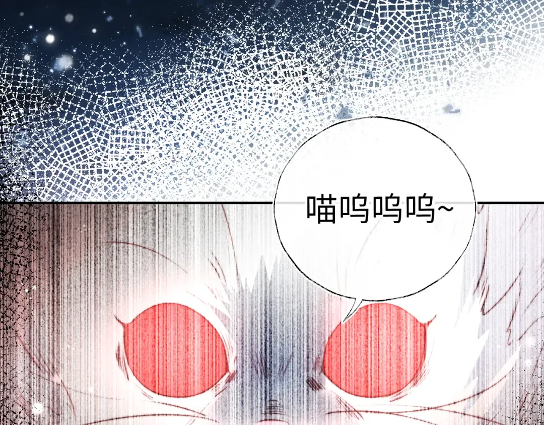 第243页
