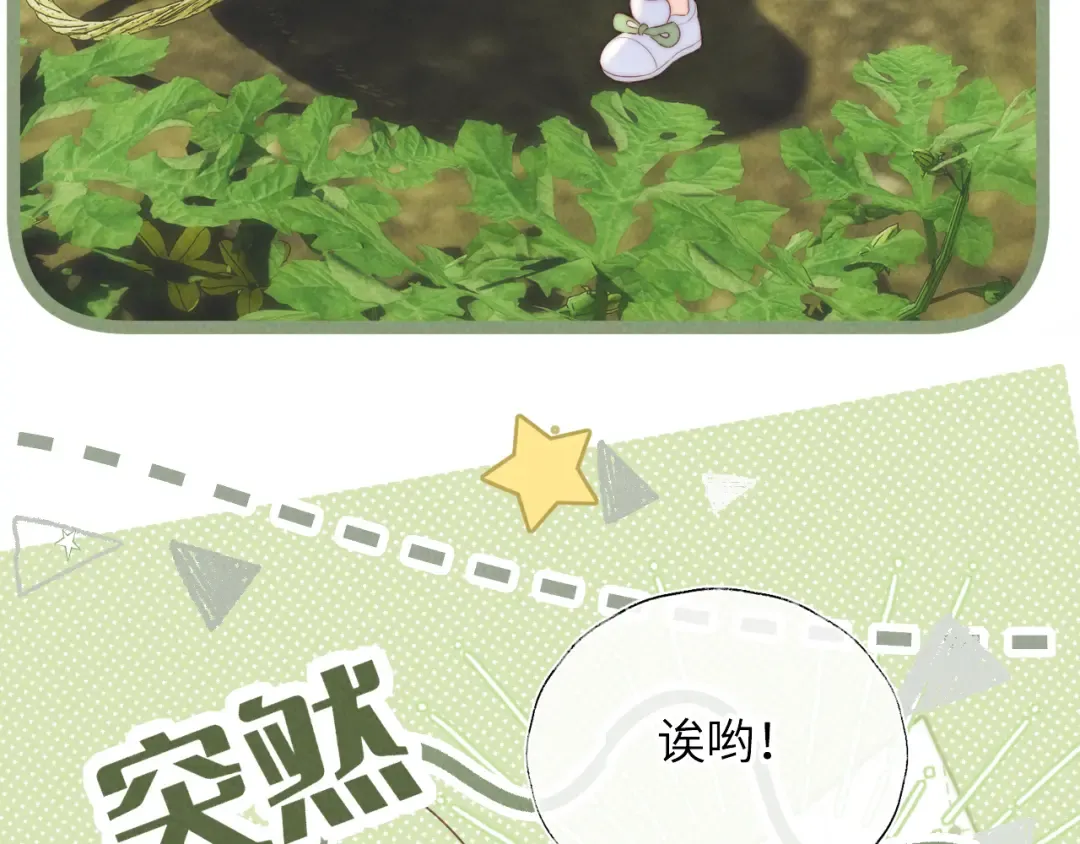 第246页
