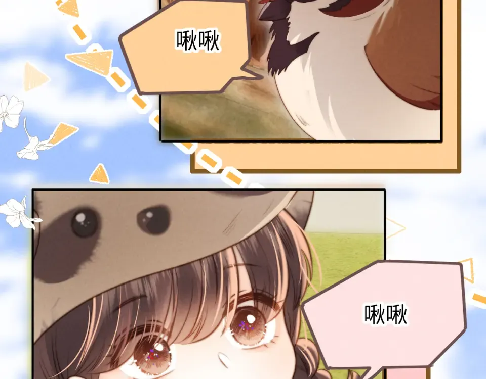 第204页