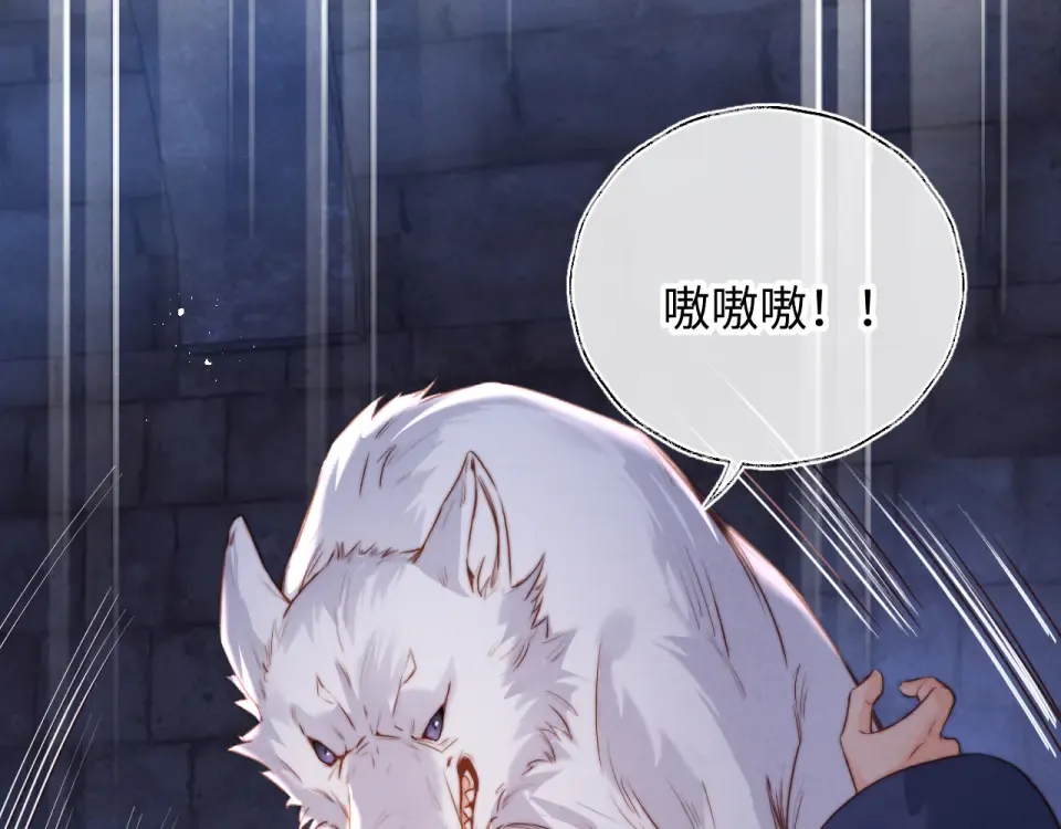 第195页