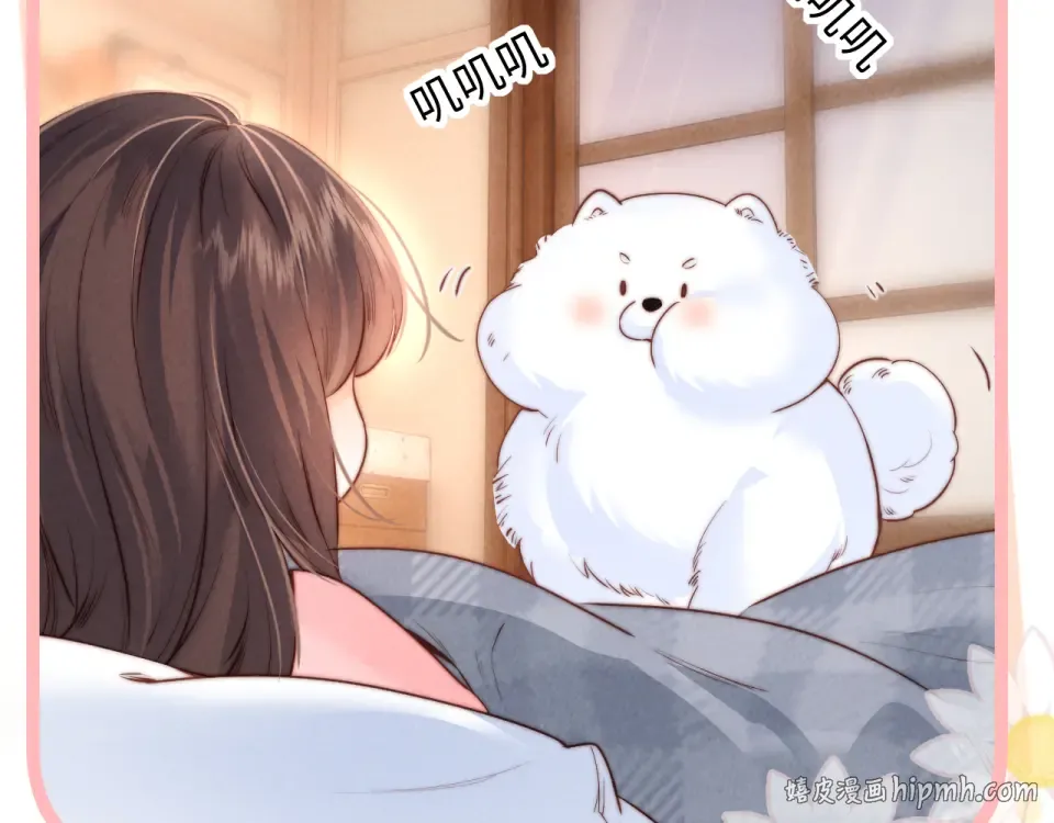 第213页
