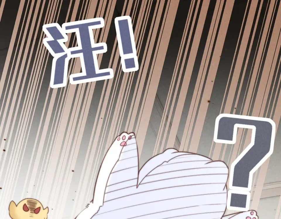 第255页