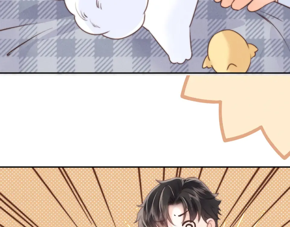 第267页