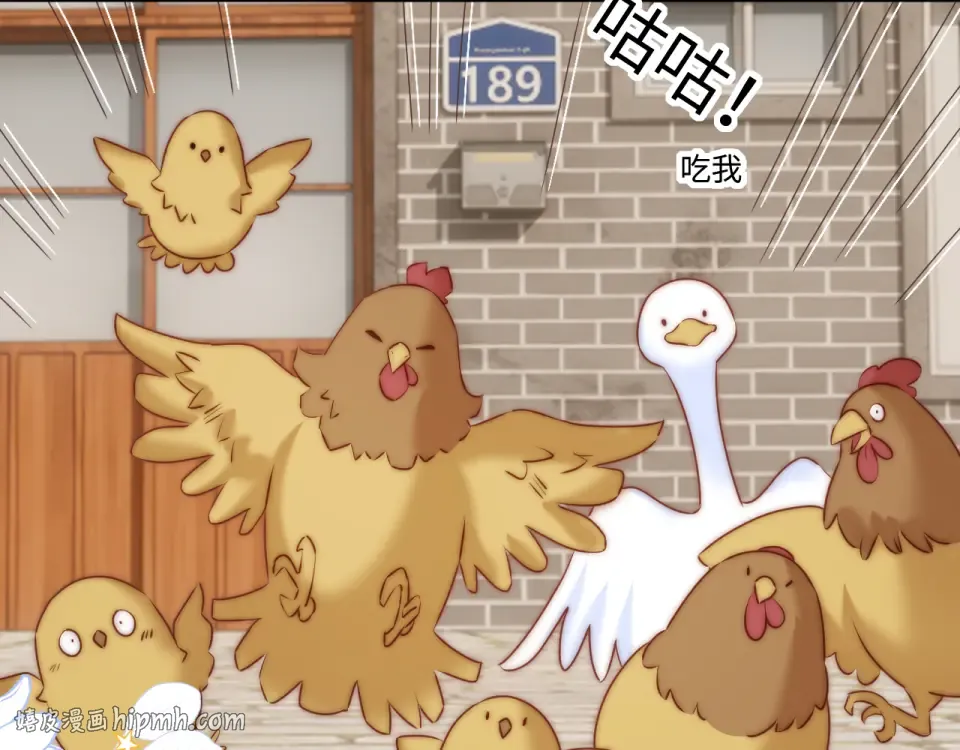 第117页