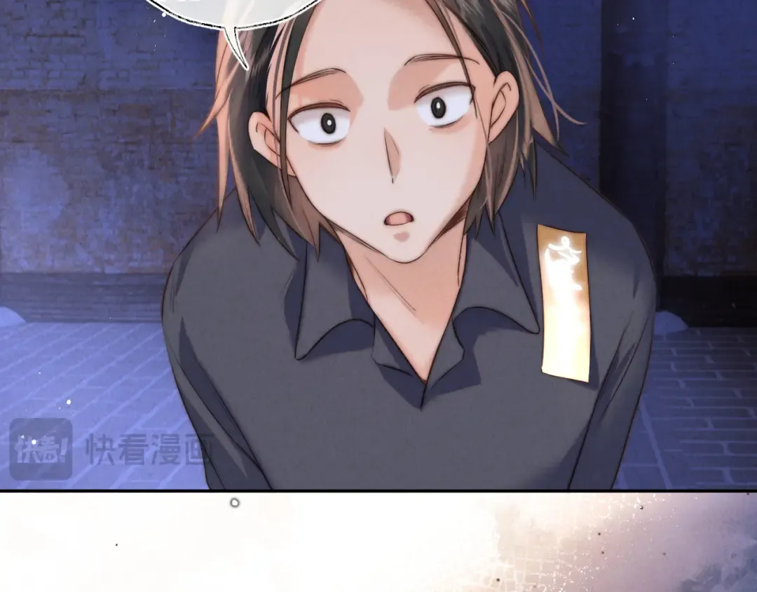 第204页